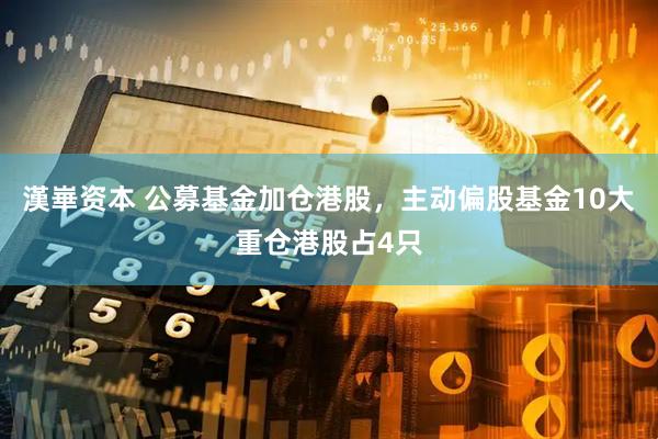 漢崋资本 公募基金加仓港股，主动偏股基金10大重仓港股占4只